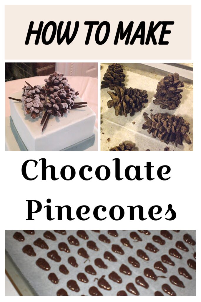 how to make chocolate pinecones