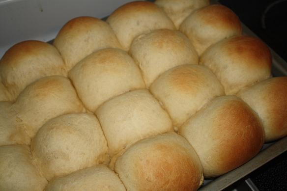 baked yeast rolls