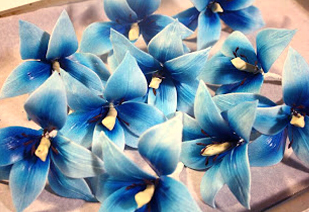 blue daylilies