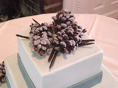 chocolate-pinecones cake topper