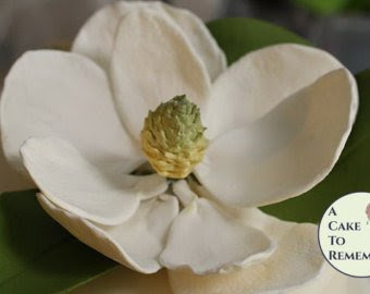 gumpaste magnolia