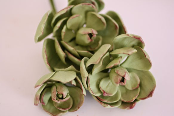 gumpaste succulents 