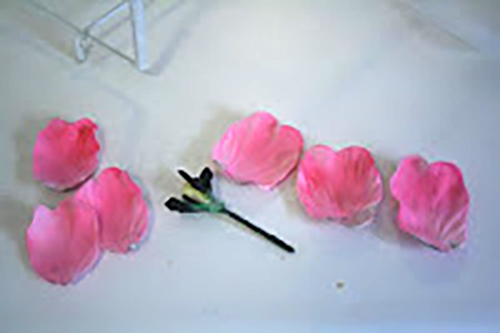 gumpaste-tulip-petals