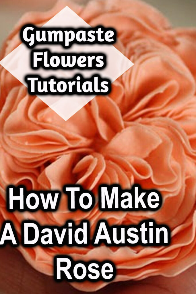 how to make a david austin rose