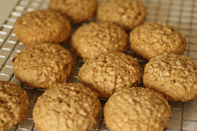 vegan oatmeal cookie recipe