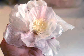 wafer paper flower