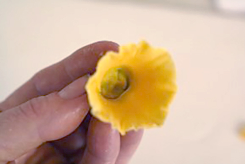 How to make a gumpaste daffodil