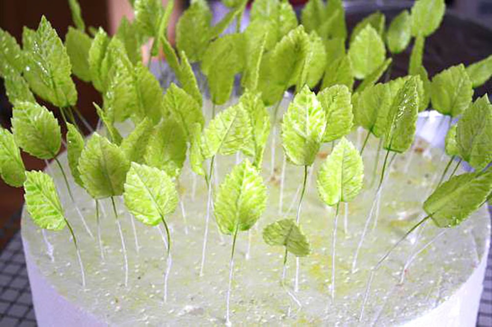 gumpaste leaves drying in a cake dummy