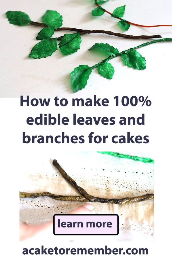 how to make edible branches for cake decorating