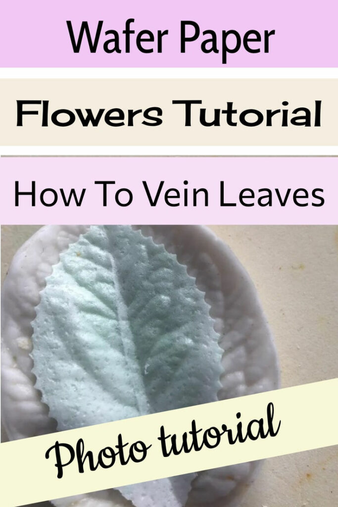 how to vein wafer paper leaves and petals for cake decorating