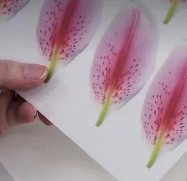 printed stargazer wafer paper petals