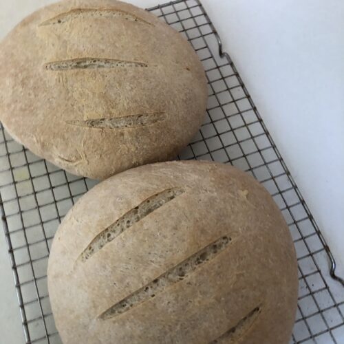 baked sourdough loaves on a cooling rack