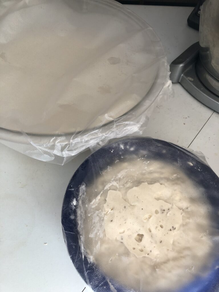 Sourdough sponge and starter in different bowls
