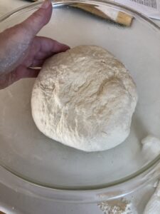 the kneaed dough ball put into a greased bowl to rise.