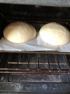 loaves in the oven