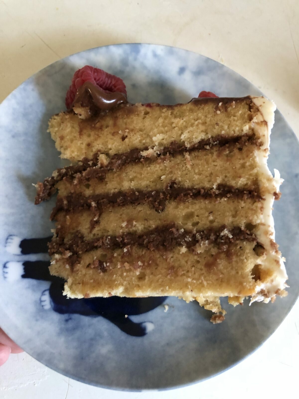 slice of nut cake with chocolate filling