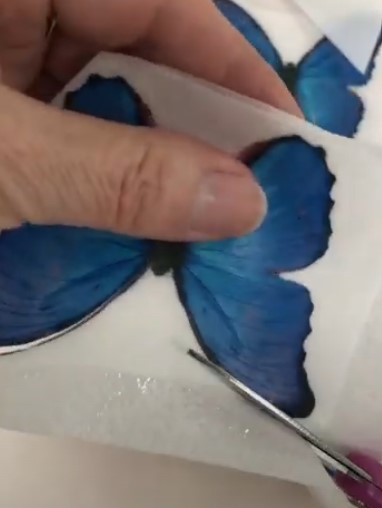 cut out the butterflies