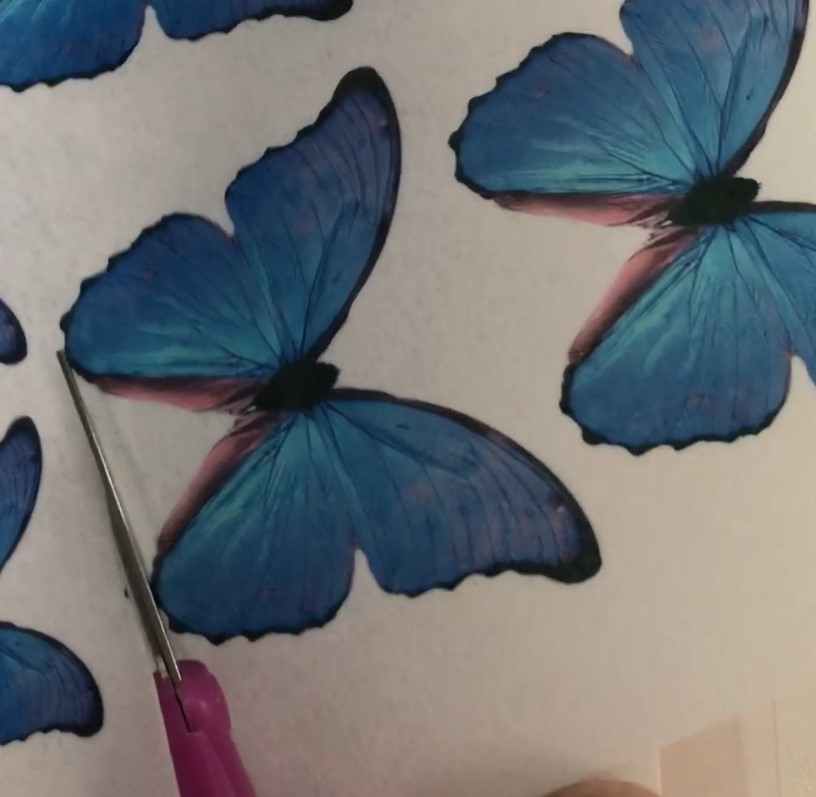 cut out two butterflies